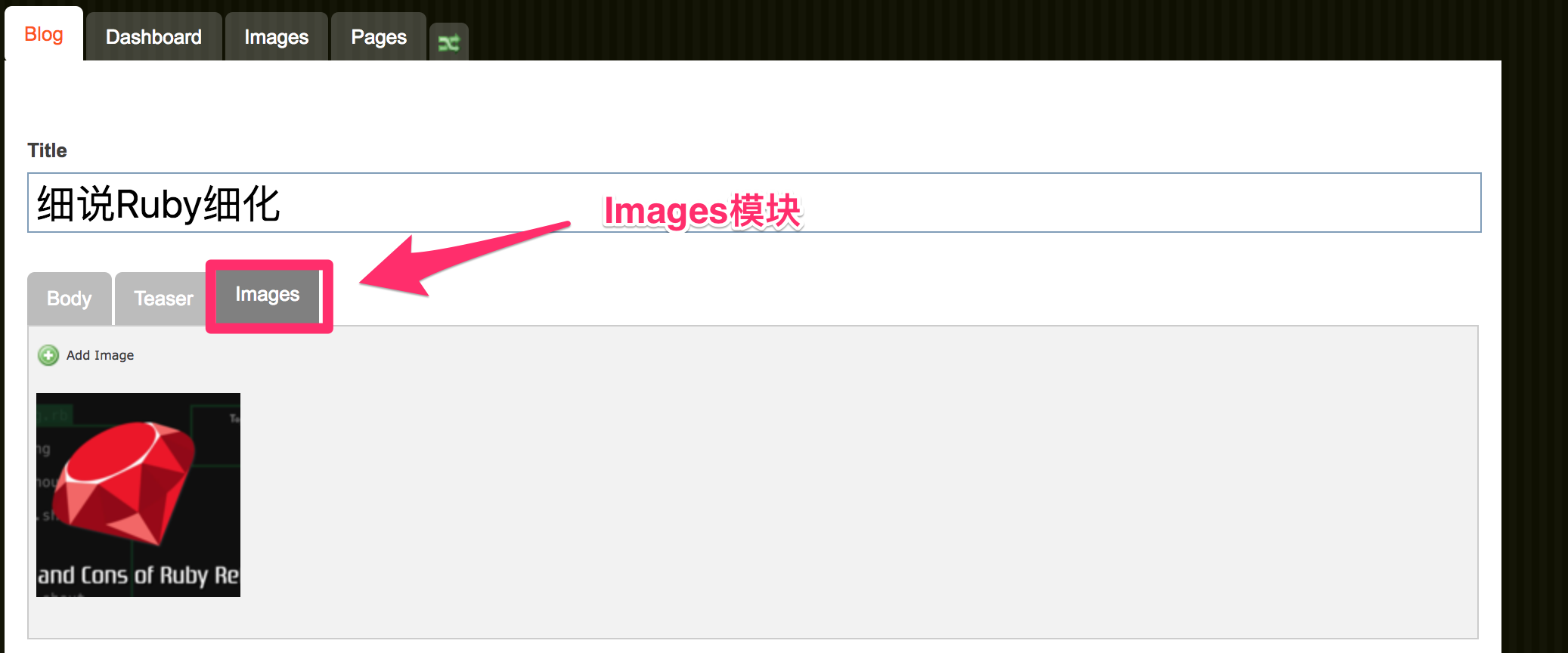 Image Section